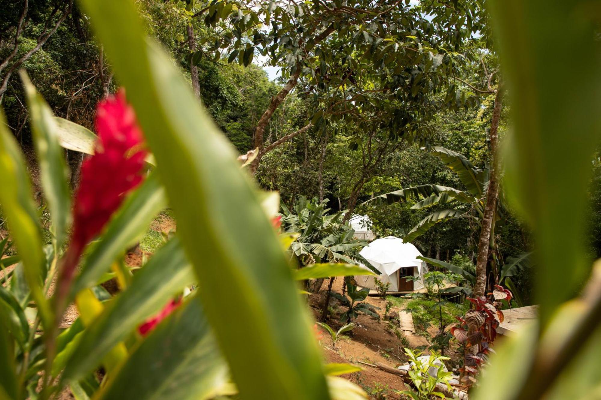 Glamping Sitio Das Tartarugas Angra dos Reis Exterior photo